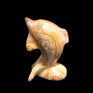 Afghan Jade Leaping Dolphin hand-carved 81*56*30mm 172g in sunlight - Rocks and Things Store