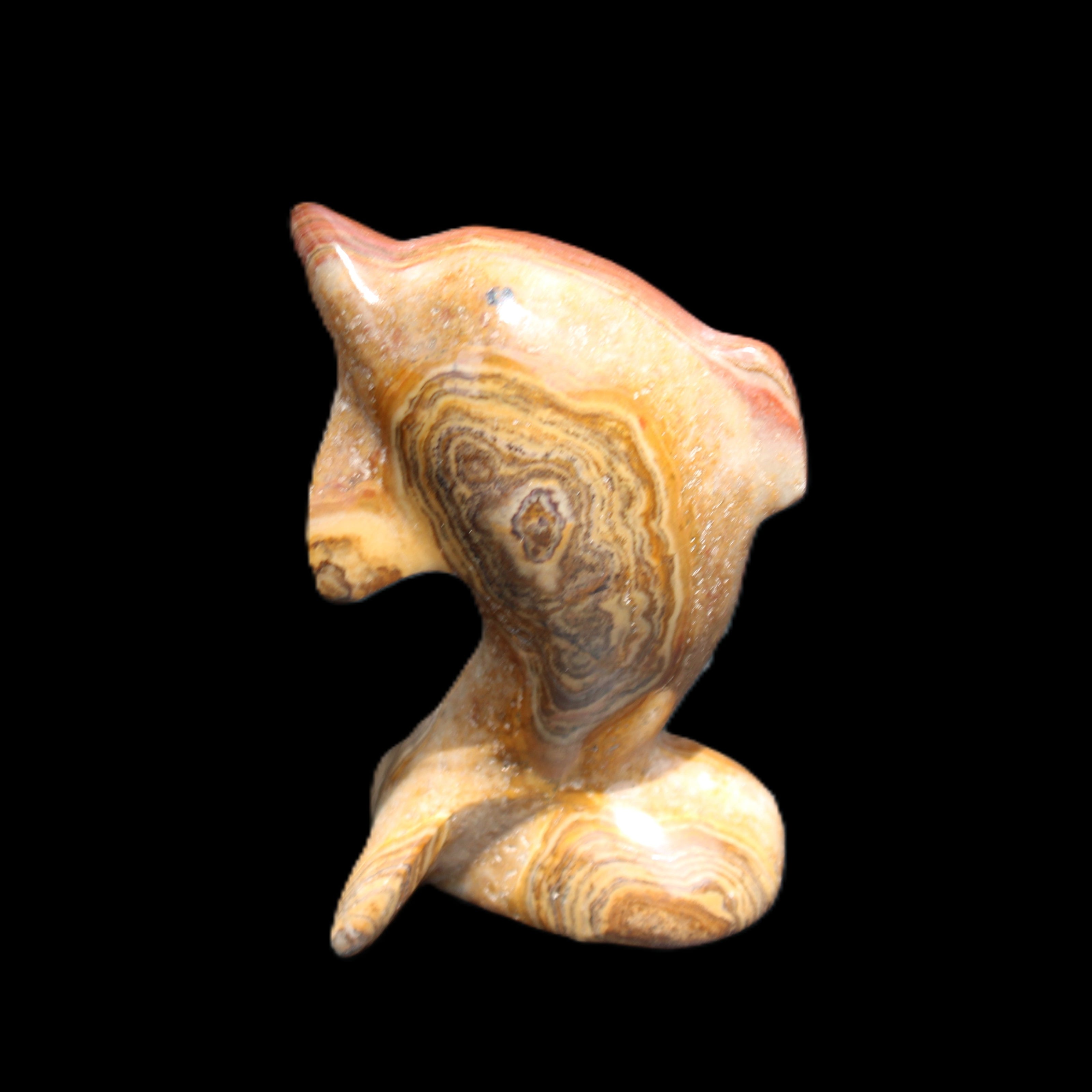 Afghan Jade Leaping Dolphin hand-carved 81*56*30mm 172g in sunlight - Rocks and Things Store