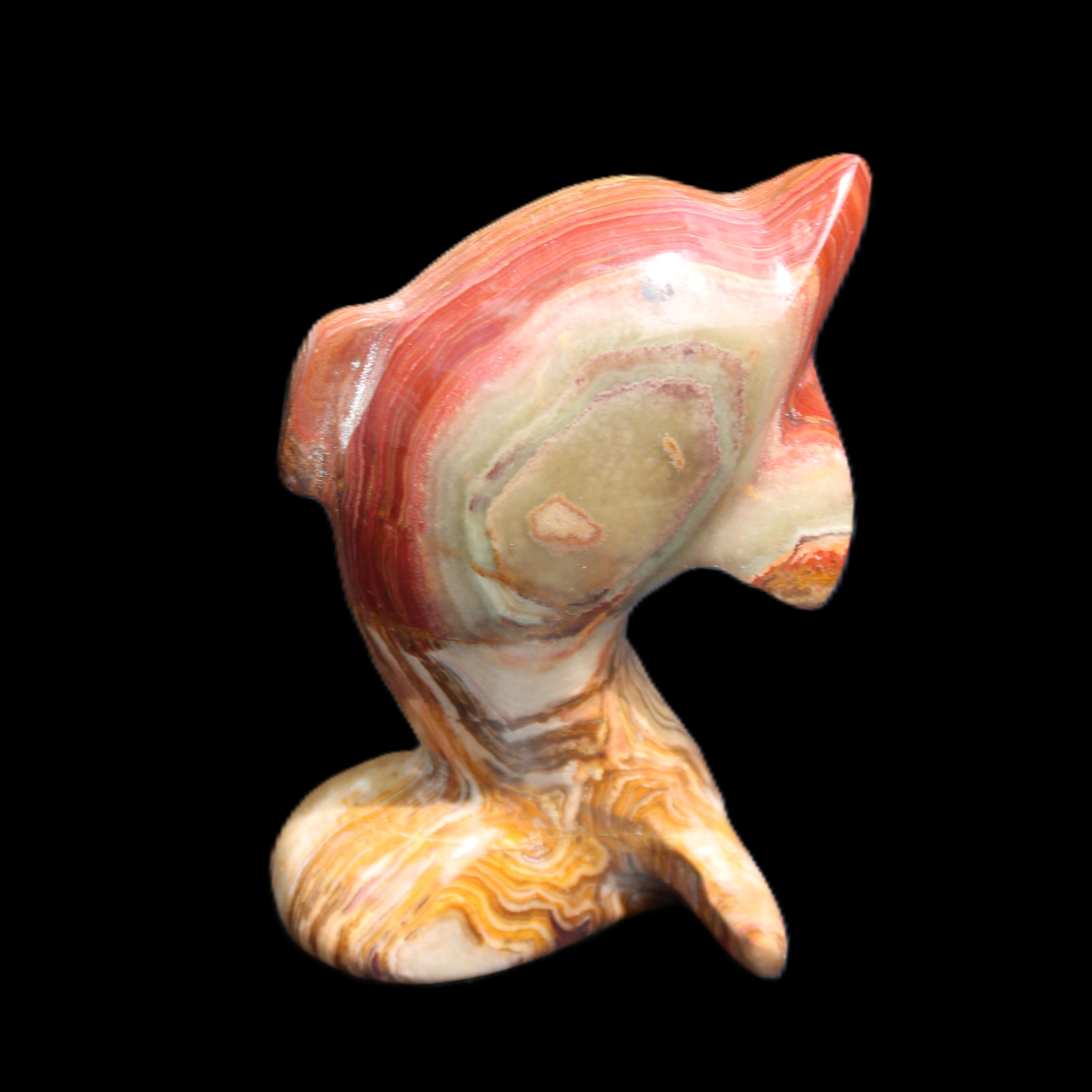 Afghan Jade Leaping Dolphin hand-carved 81*56*30mm 172g in sunlight - Rocks and Things Store