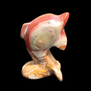 Afghan Jade Leaping Dolphin hand-carved 81*56*30mm 172g in sunlight - Rocks and Things Store