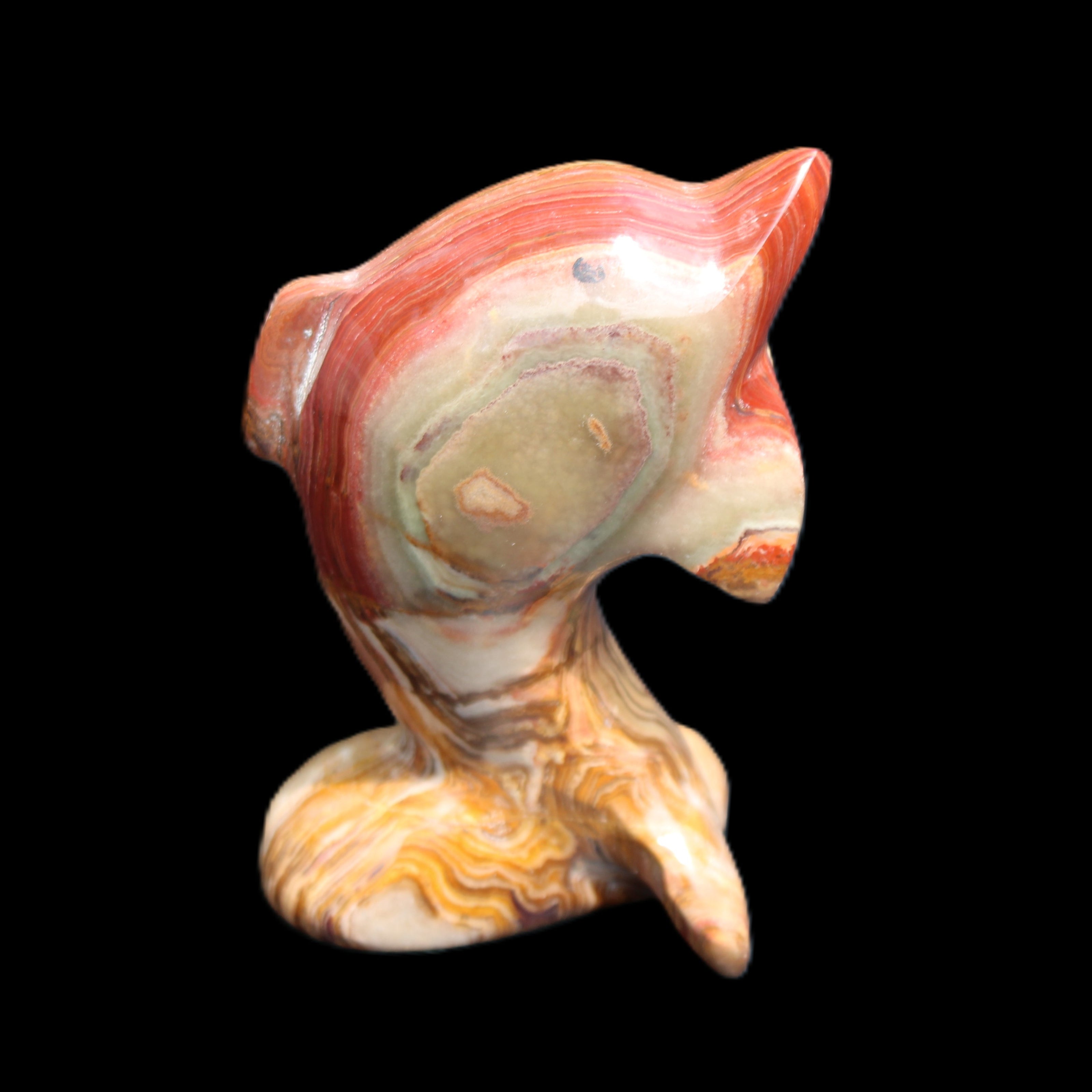 Afghan Jade Leaping Dolphin hand-carved 81*56*30mm 172g in sunlight - Rocks and Things Store