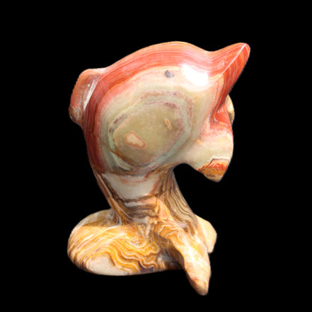 Afghan Jade Leaping Dolphin hand-carved 81*56*30mm 172g in sunlight - Rocks and Things Store