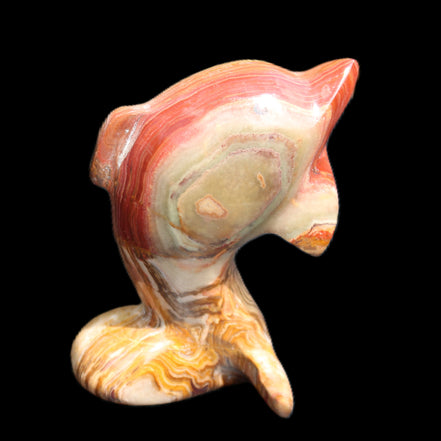 Afghan Jade Leaping Dolphin hand-carved 81*56*30mm 172g in sunlight - Rocks and Things Store