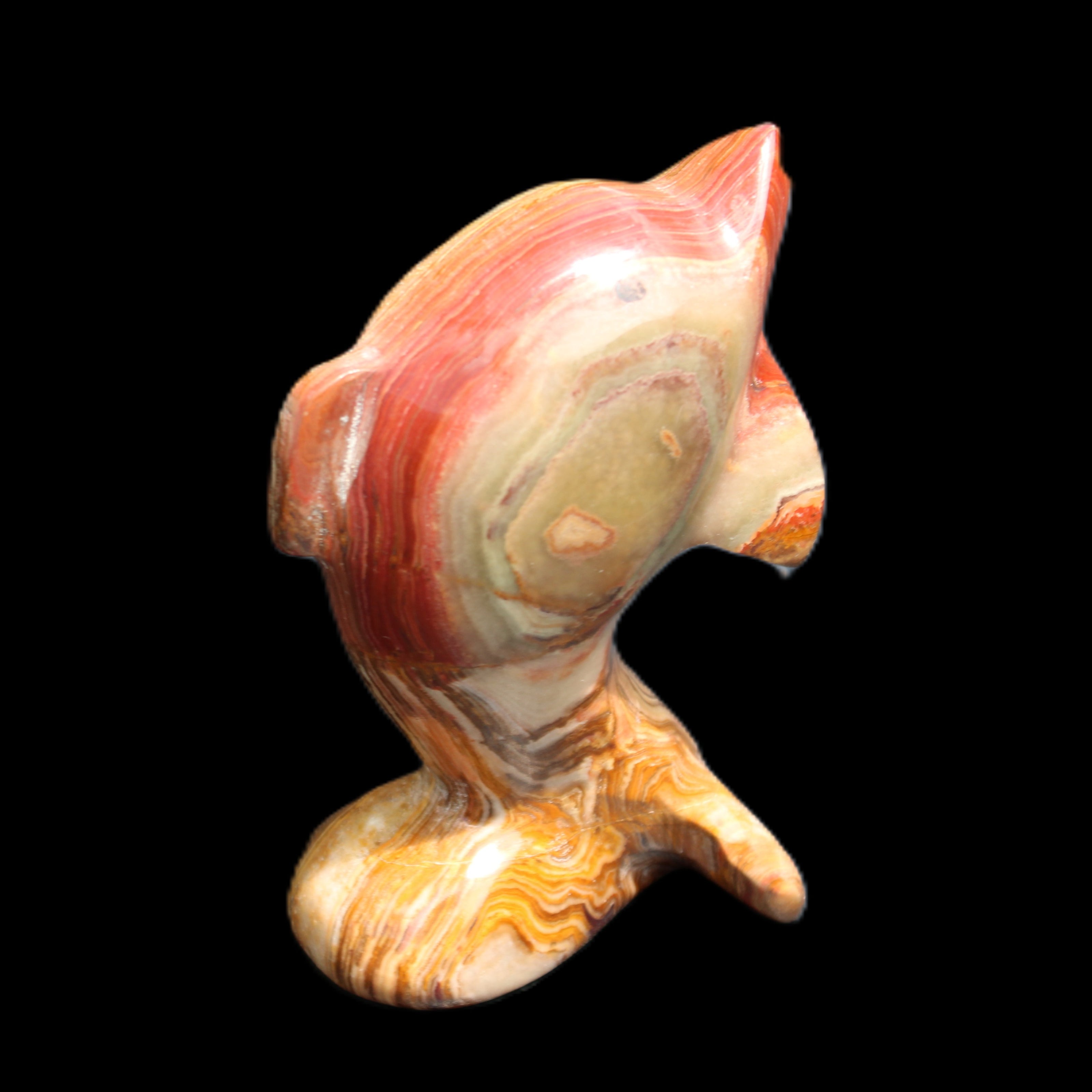 Afghan Jade Leaping Dolphin hand-carved 81*56*30mm 172g in sunlight - Rocks and Things Store