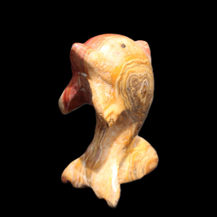 Afghan Jade Leaping Dolphin hand-carved 81*56*30mm 172g in sunlight - Rocks and Things Store