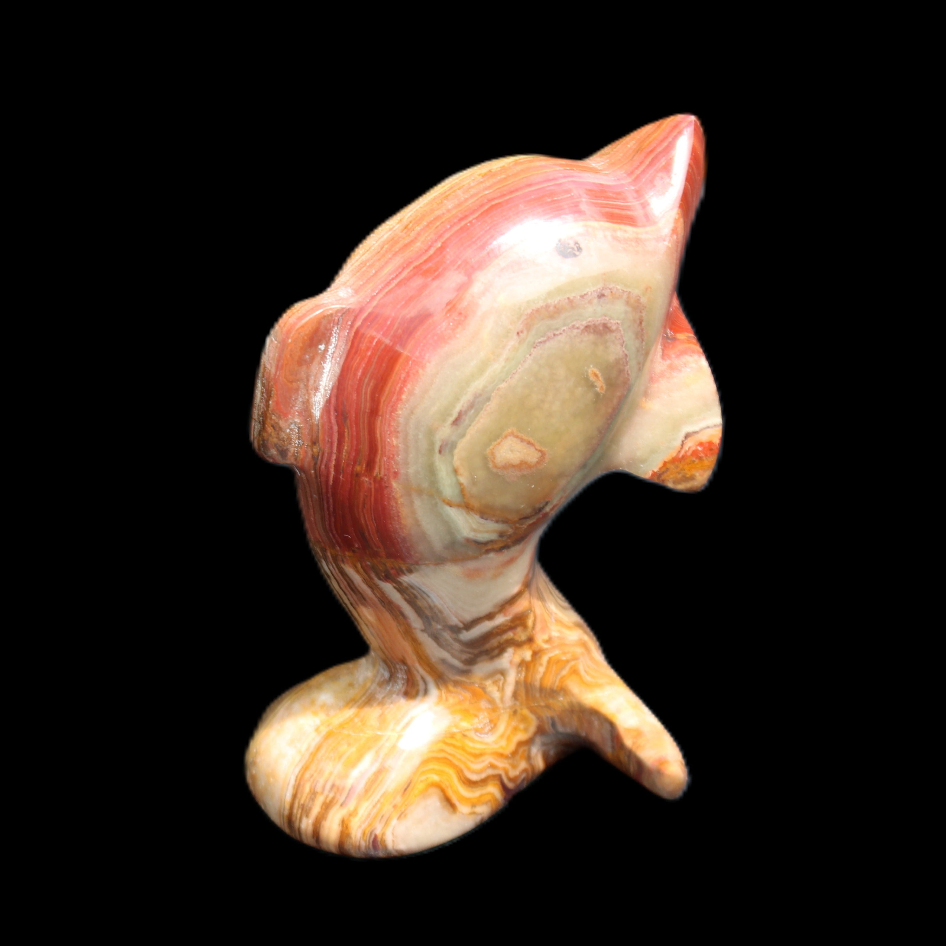 Afghan Jade Leaping Dolphin hand-carved 81*56*30mm 172g in sunlight - Rocks and Things Store