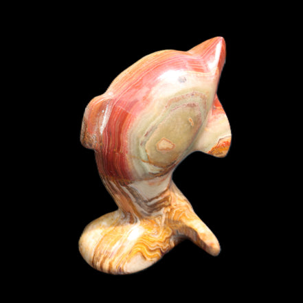 Afghan Jade Leaping Dolphin hand-carved 81*56*30mm 172g in sunlight - Rocks and Things Store