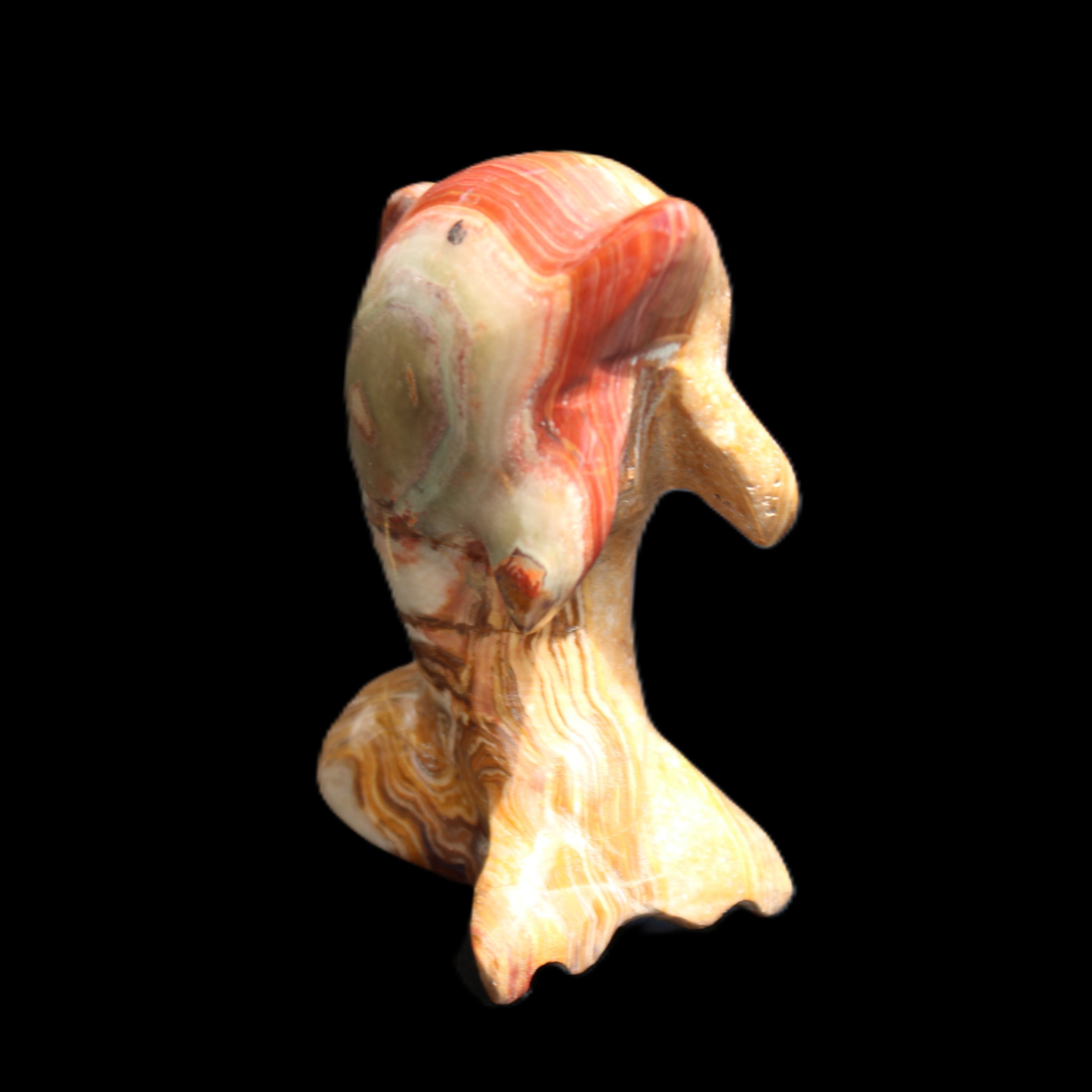 Afghan Jade Leaping Dolphin hand-carved 81*56*30mm 172g in sunlight - Rocks and Things Store