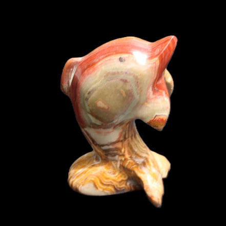 Afghan Jade Leaping Dolphin hand-carved 81*56*30mm 172g in sunlight - Rocks and Things Store