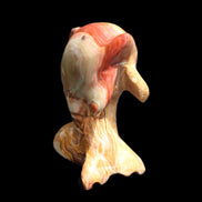 Afghan Jade Leaping Dolphin hand-carved 81*56*30mm 172g in sunlight - Rocks and Things Store