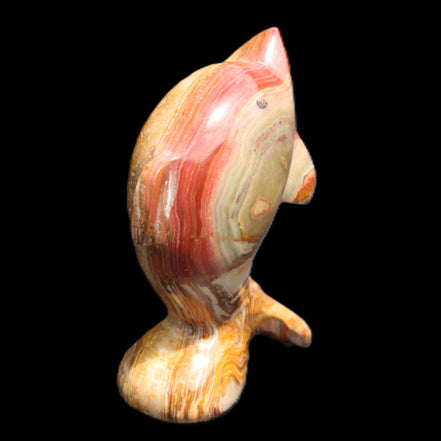 Afghan Jade Leaping Dolphin hand-carved 81*56*30mm 172g in sunlight - Rocks and Things Store