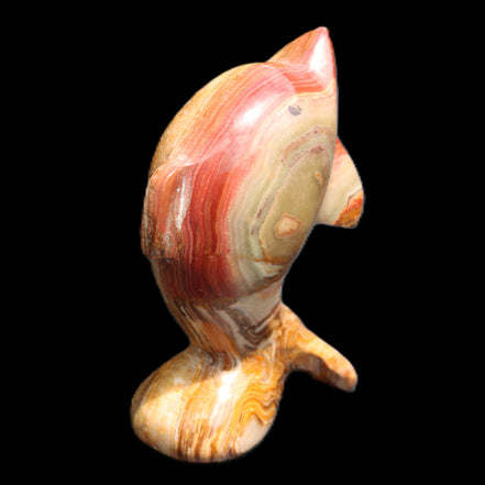 Afghan Jade Leaping Dolphin hand-carved 81*56*30mm 172g in sunlight - Rocks and Things Store