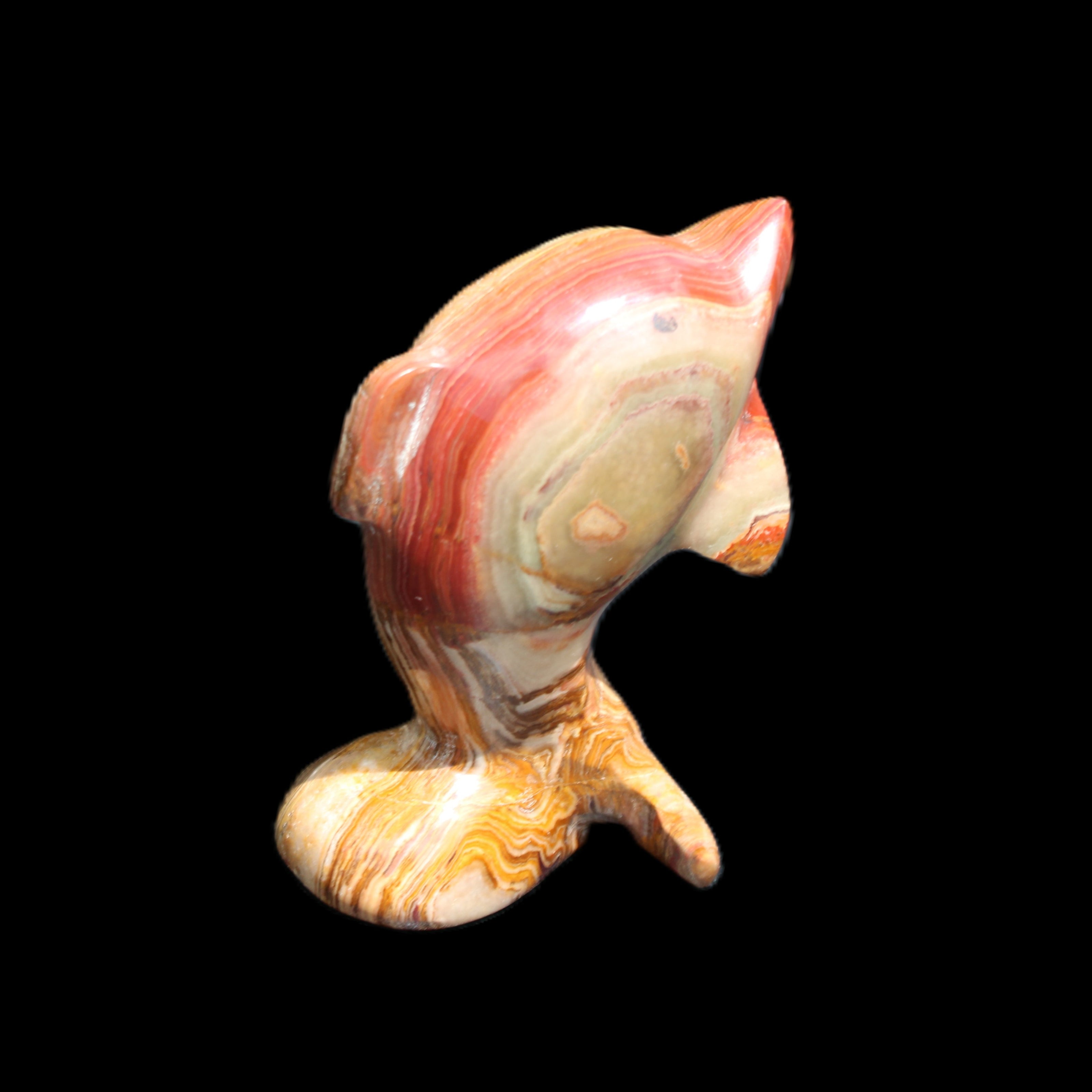 Afghan Jade Leaping Dolphin hand-carved 81*56*30mm 172g in sunlight - Rocks and Things Store