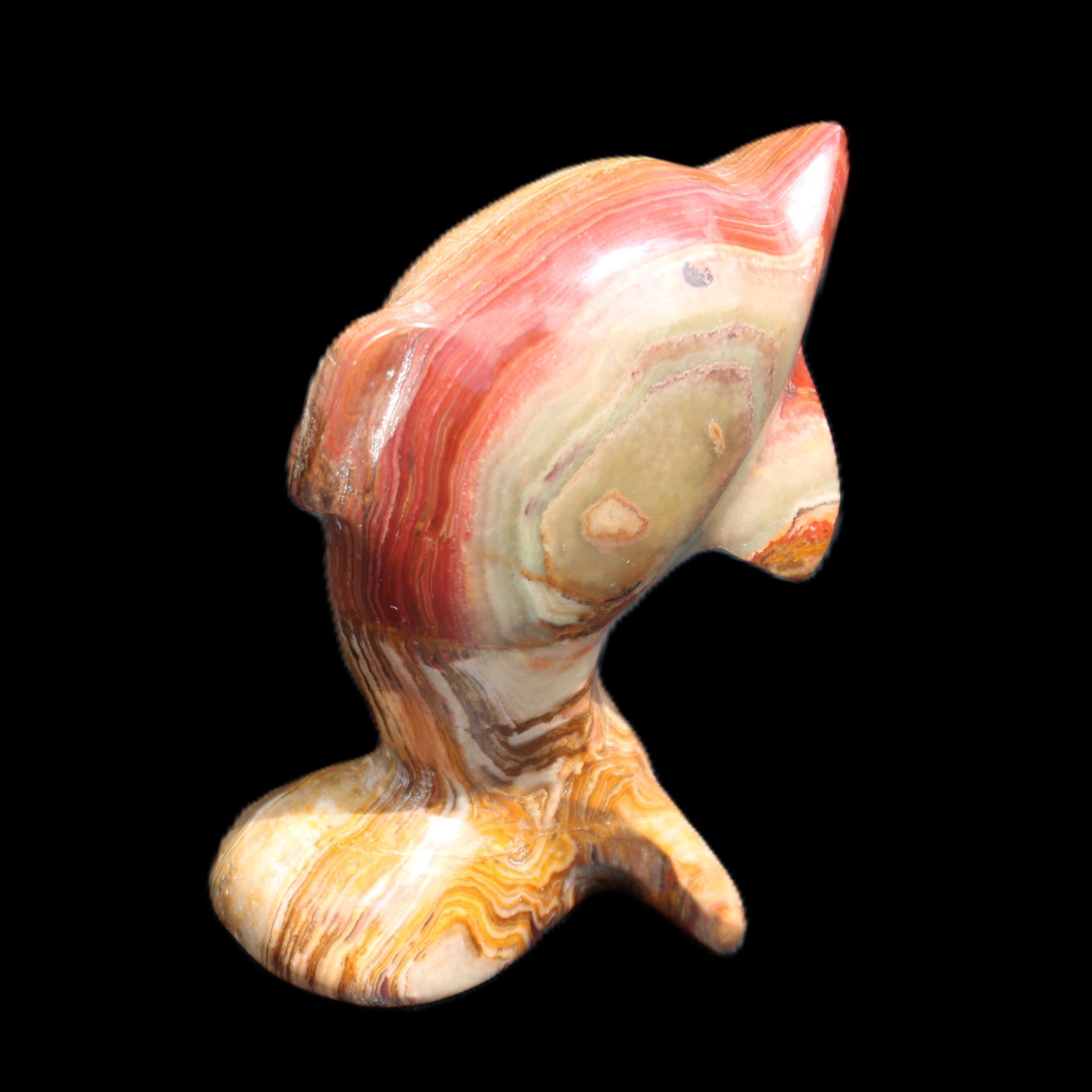 Afghan Jade Leaping Dolphin hand-carved 81*56*30mm 172g in sunlight - Rocks and Things Store