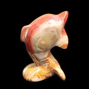 Afghan Jade Leaping Dolphin hand-carved 81*56*30mm 172g in sunlight - Rocks and Things Store