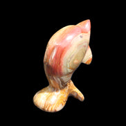 Afghan Jade Leaping Dolphin hand-carved 81*56*30mm 172g in sunlight - Rocks and Things Store