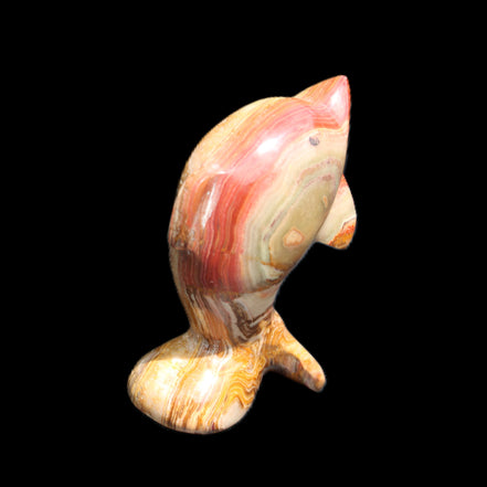 Afghan Jade Leaping Dolphin hand-carved 81*56*30mm 172g in sunlight - Rocks and Things Store