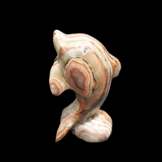 Afghan Jade Leaping Dolphin hand-carved 85*51*35mm 171g in sunlight - Rocks and Things Store