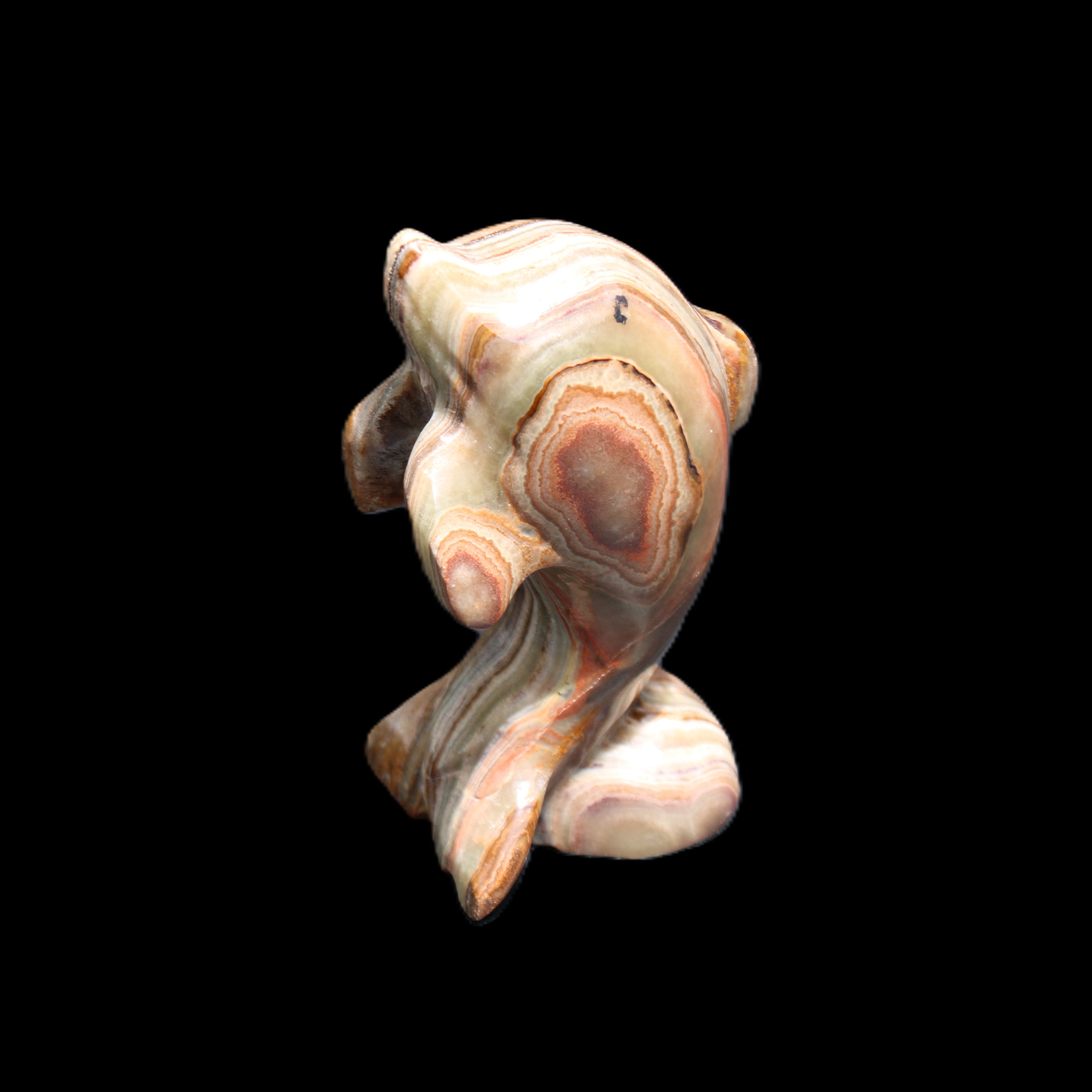 Afghan Jade Leaping Dolphin hand-carved 85*51*35mm 171g in sunlight - Rocks and Things Store