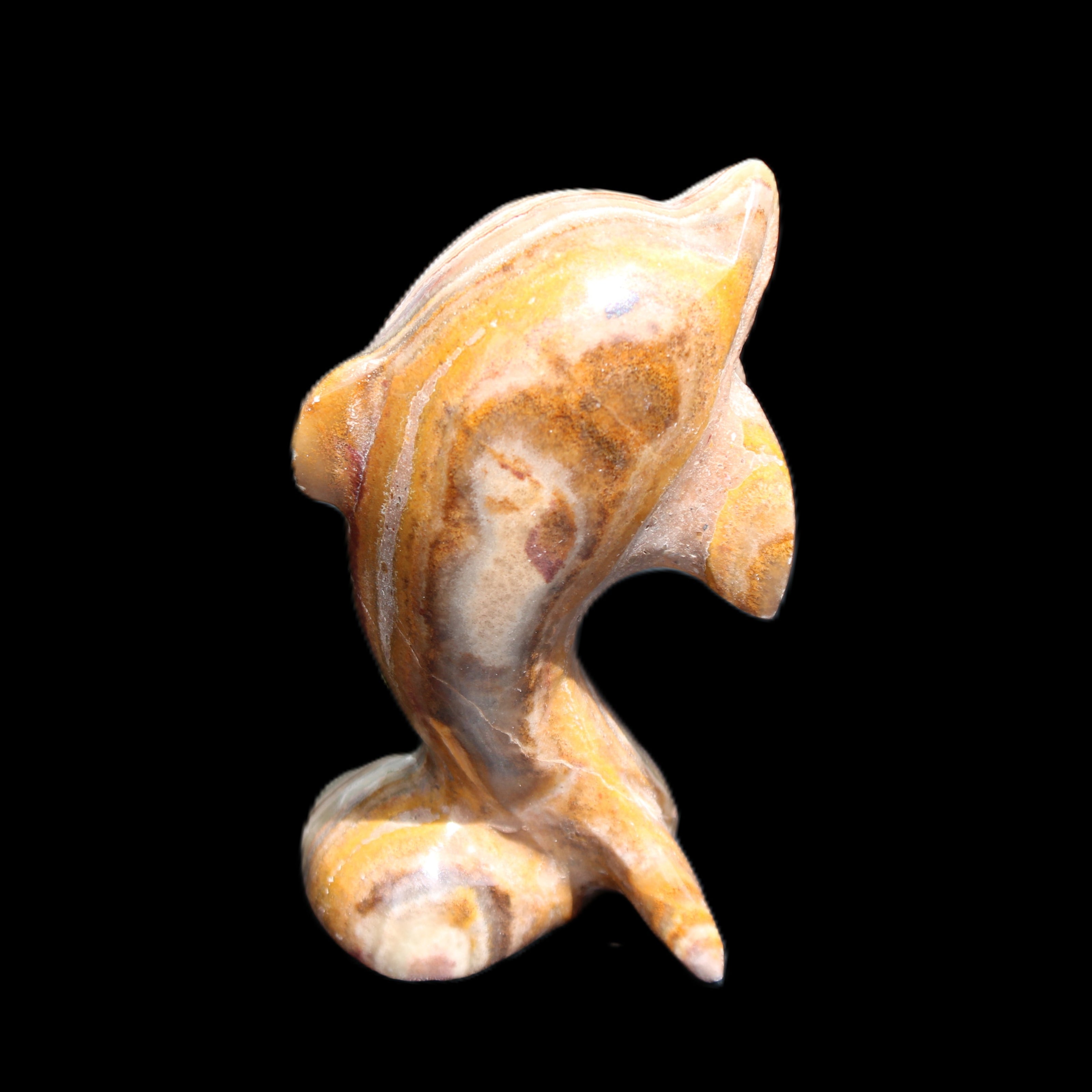 Afghan Jade Leaping Dolphin hand-carved 85*51*35mm 171g in sunlight - Rocks and Things Store