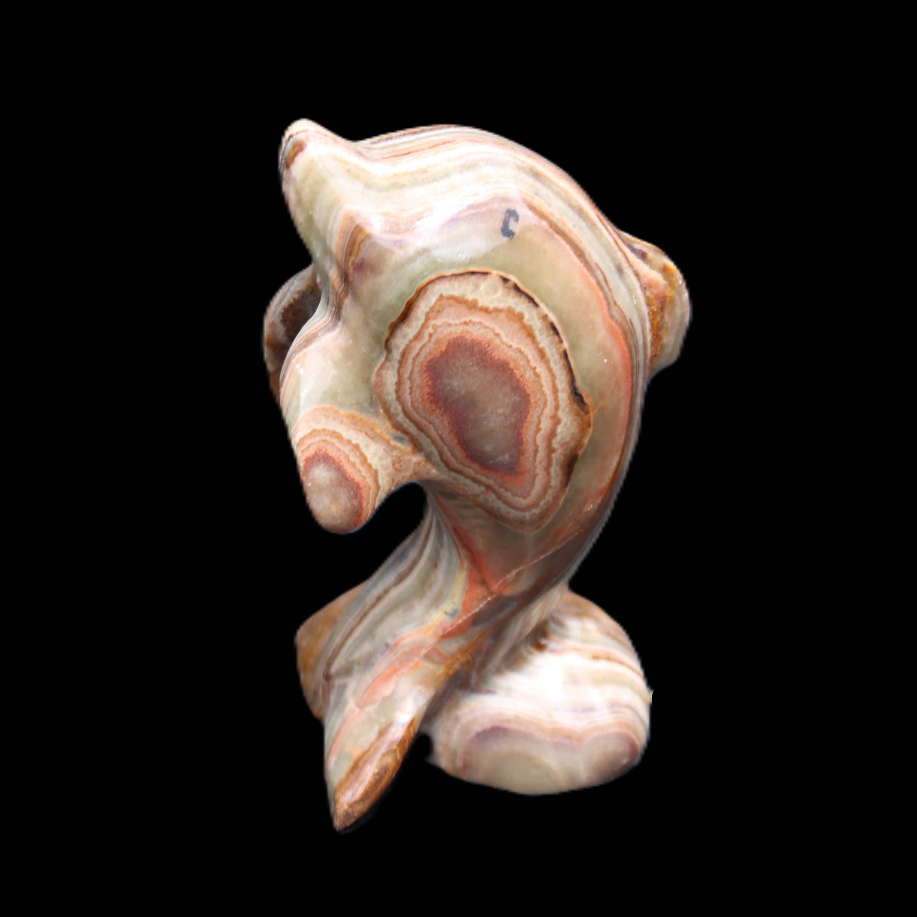 Afghan Jade Leaping Dolphin hand-carved 85*51*35mm 171g in sunlight - Rocks and Things Store