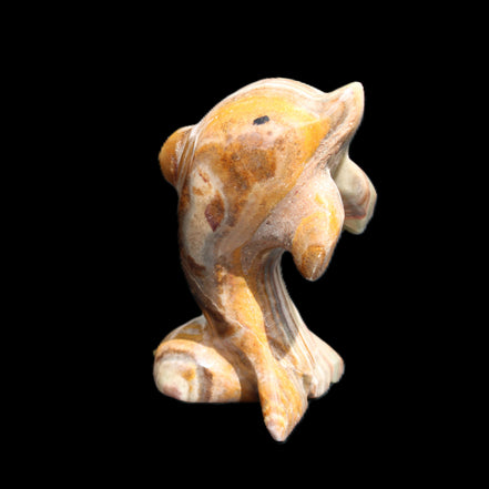 Afghan Jade Leaping Dolphin hand-carved 85*51*35mm 171g in sunlight - Rocks and Things Store