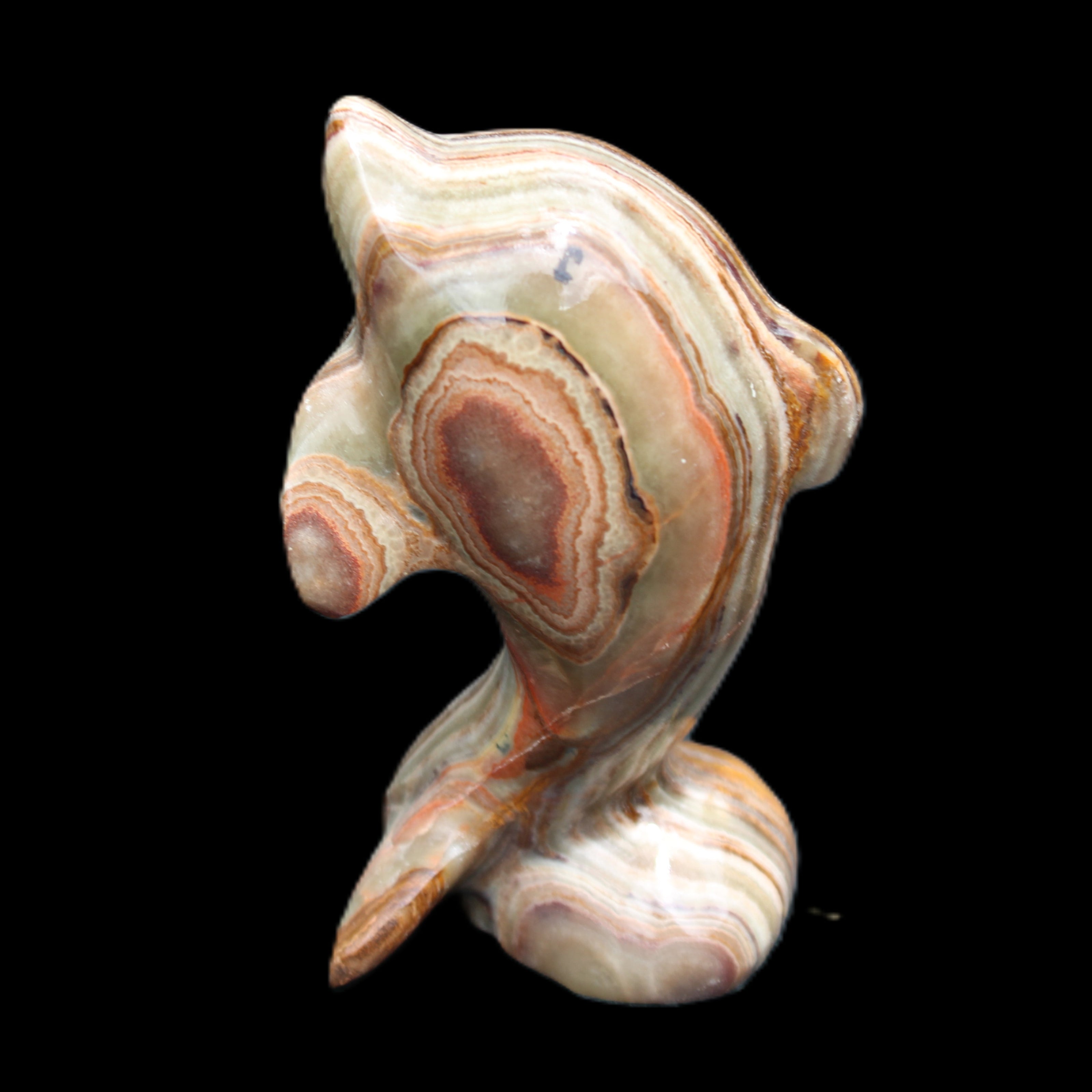 Afghan Jade Leaping Dolphin hand-carved 85*51*35mm 171g in sunlight - Rocks and Things Store