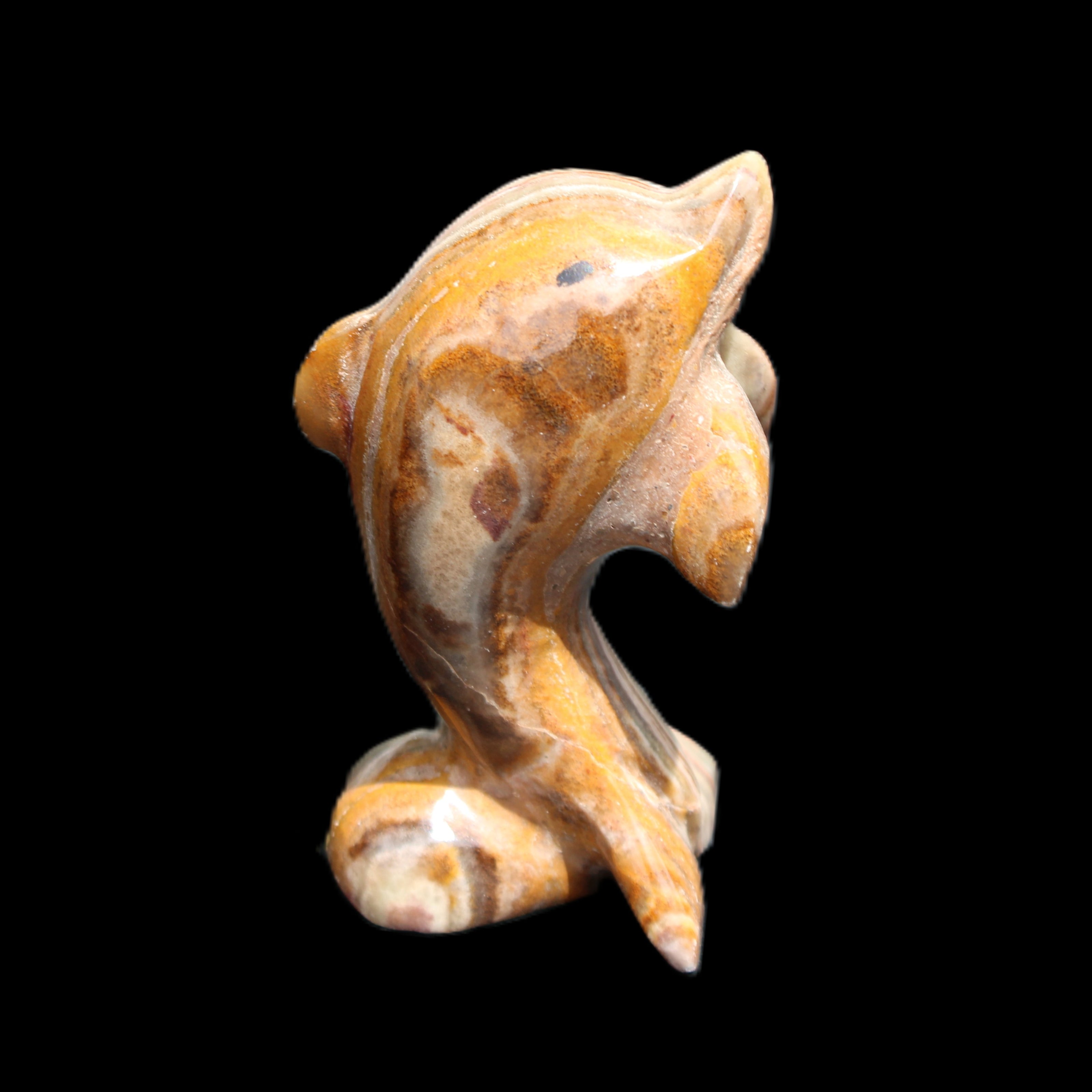 Afghan Jade Leaping Dolphin hand-carved 85*51*35mm 171g in sunlight - Rocks and Things Store