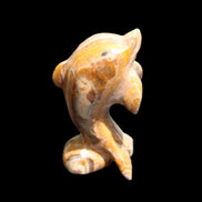 Afghan Jade Leaping Dolphin hand-carved 85*51*35mm 171g in sunlight - Rocks and Things Store
