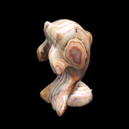 Afghan Jade Leaping Dolphin hand-carved 85*51*35mm 171g in sunlight - Rocks and Things Store