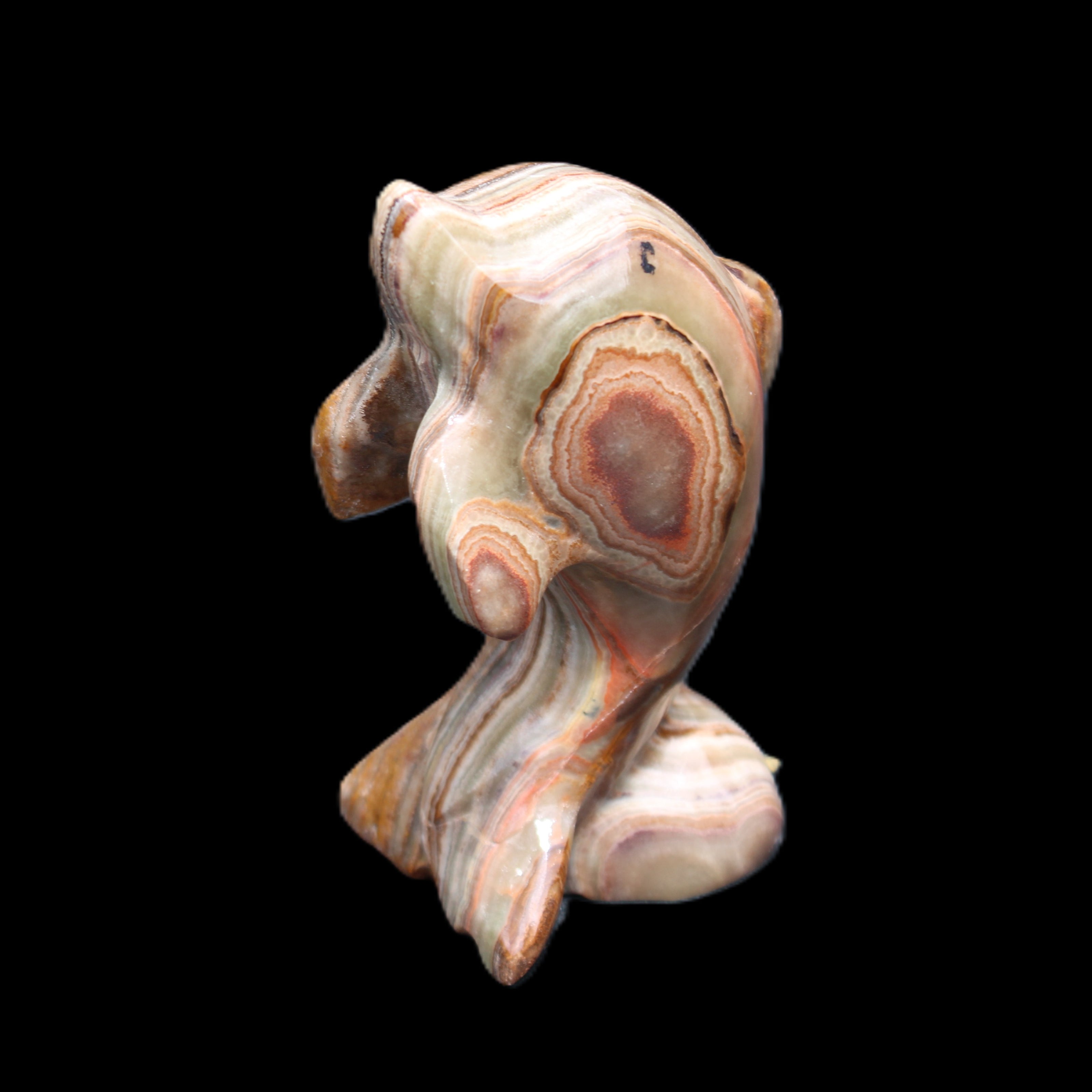 Afghan Jade Leaping Dolphin hand-carved 85*51*35mm 171g in sunlight - Rocks and Things Store