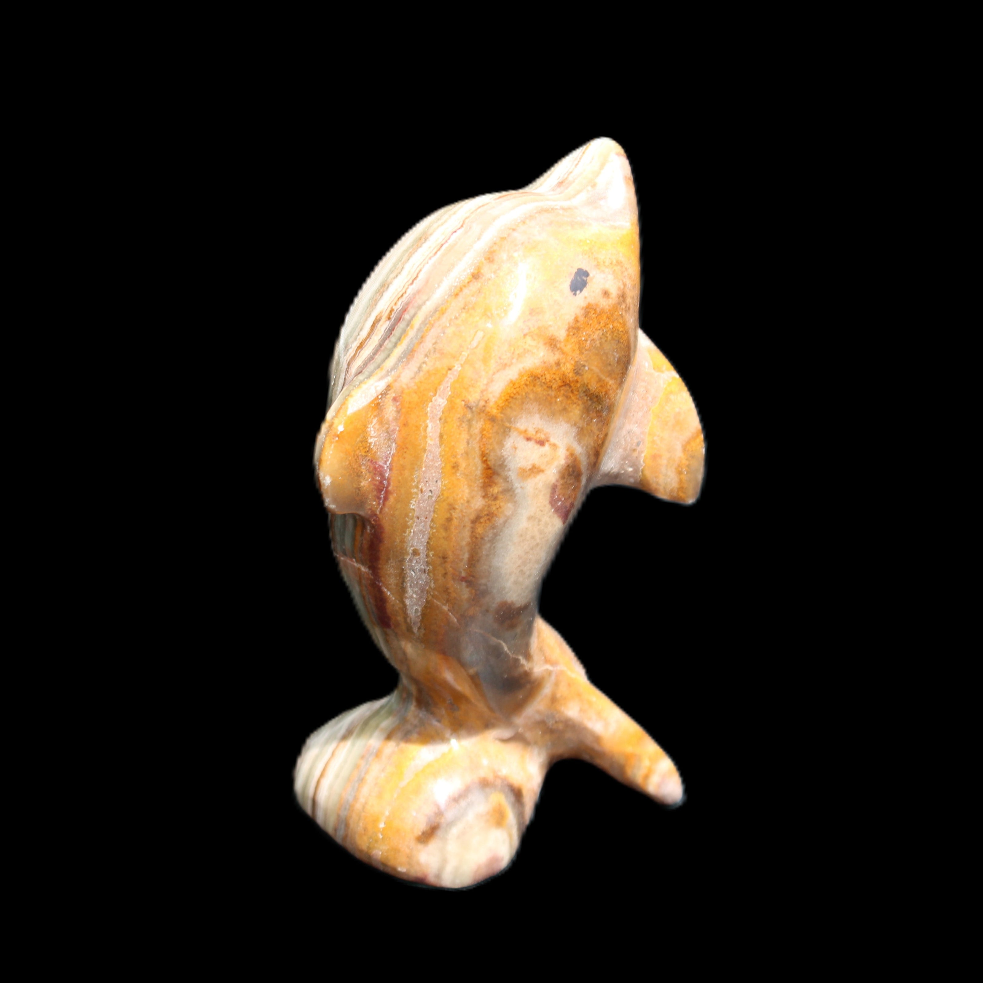 Afghan Jade Leaping Dolphin hand-carved 85*51*35mm 171g in sunlight - Rocks and Things Store