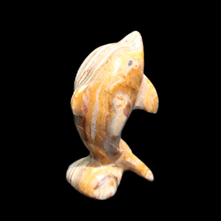 Afghan Jade Leaping Dolphin hand-carved 85*51*35mm 171g in sunlight - Rocks and Things Store