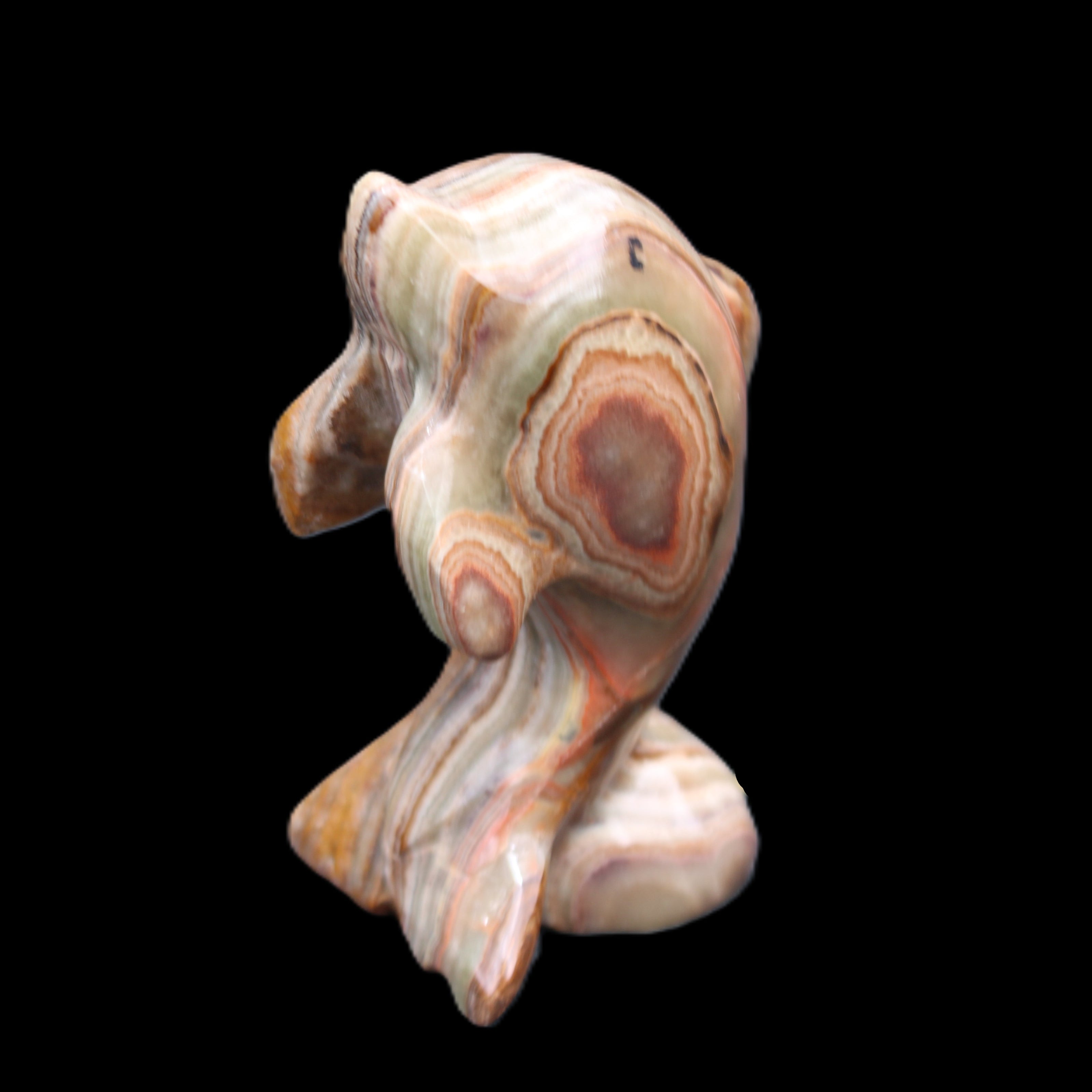 Afghan Jade Leaping Dolphin hand-carved 85*51*35mm 171g in sunlight - Rocks and Things Store