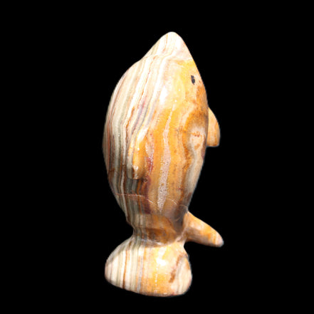 Afghan Jade Leaping Dolphin hand-carved 85*51*35mm 171g in sunlight - Rocks and Things Store