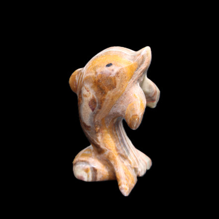 Afghan Jade Leaping Dolphin hand-carved 85*51*35mm 171g in sunlight - Rocks and Things Store