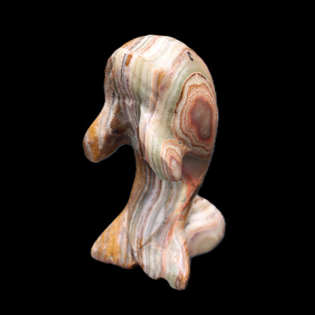 Afghan Jade Leaping Dolphin hand-carved 85*51*35mm 171g in sunlight - Rocks and Things Store