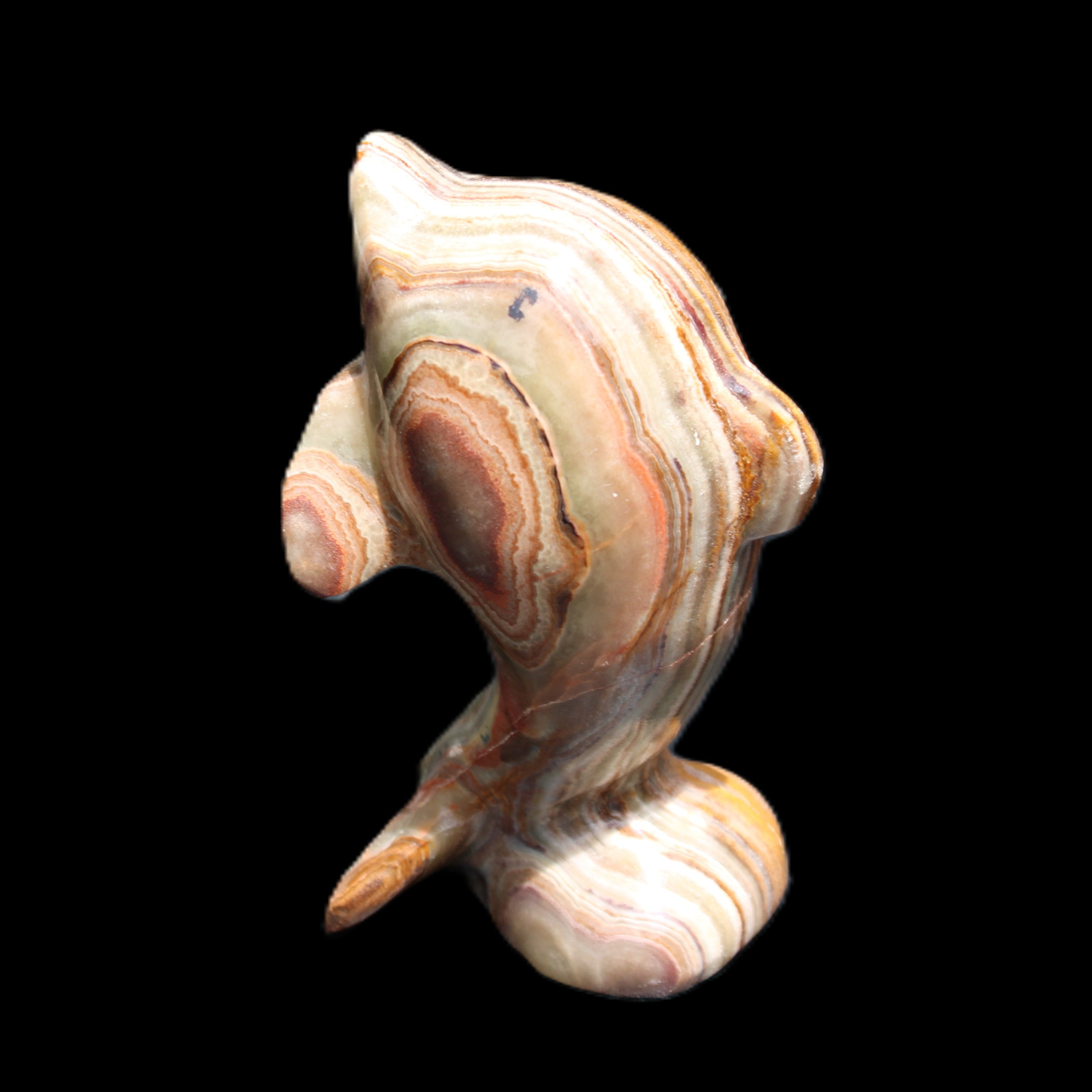 Afghan Jade Leaping Dolphin hand-carved 85*51*35mm 171g in sunlight - Rocks and Things Store