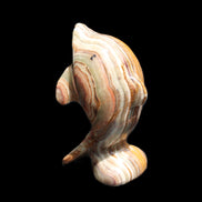 Afghan Jade Leaping Dolphin hand-carved 85*51*35mm 171g in sunlight - Rocks and Things Store