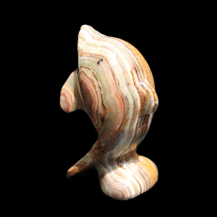 Afghan Jade Leaping Dolphin hand-carved 85*51*35mm 171g in sunlight - Rocks and Things Store