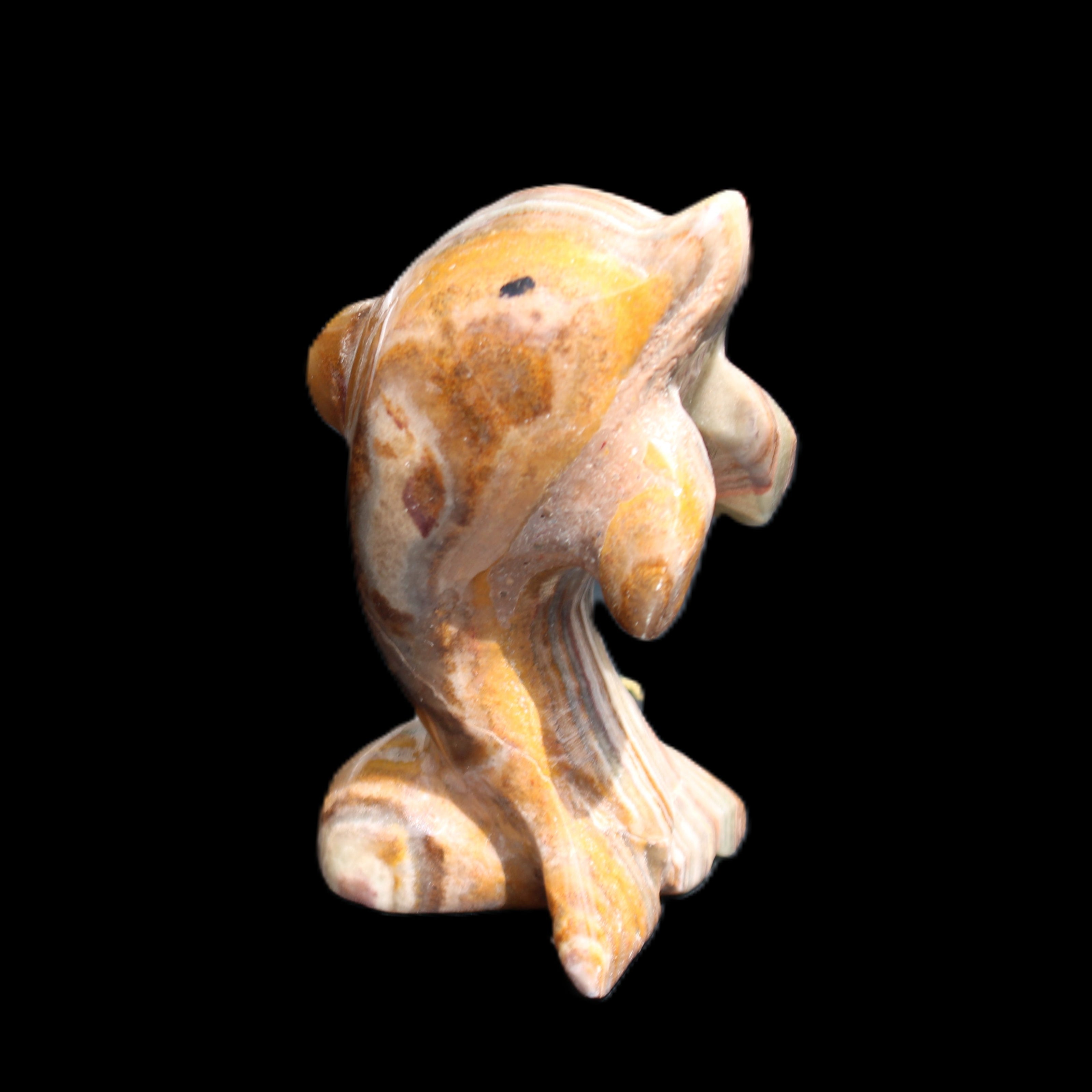 Afghan Jade Leaping Dolphin hand-carved 85*51*35mm 171g in sunlight - Rocks and Things Store