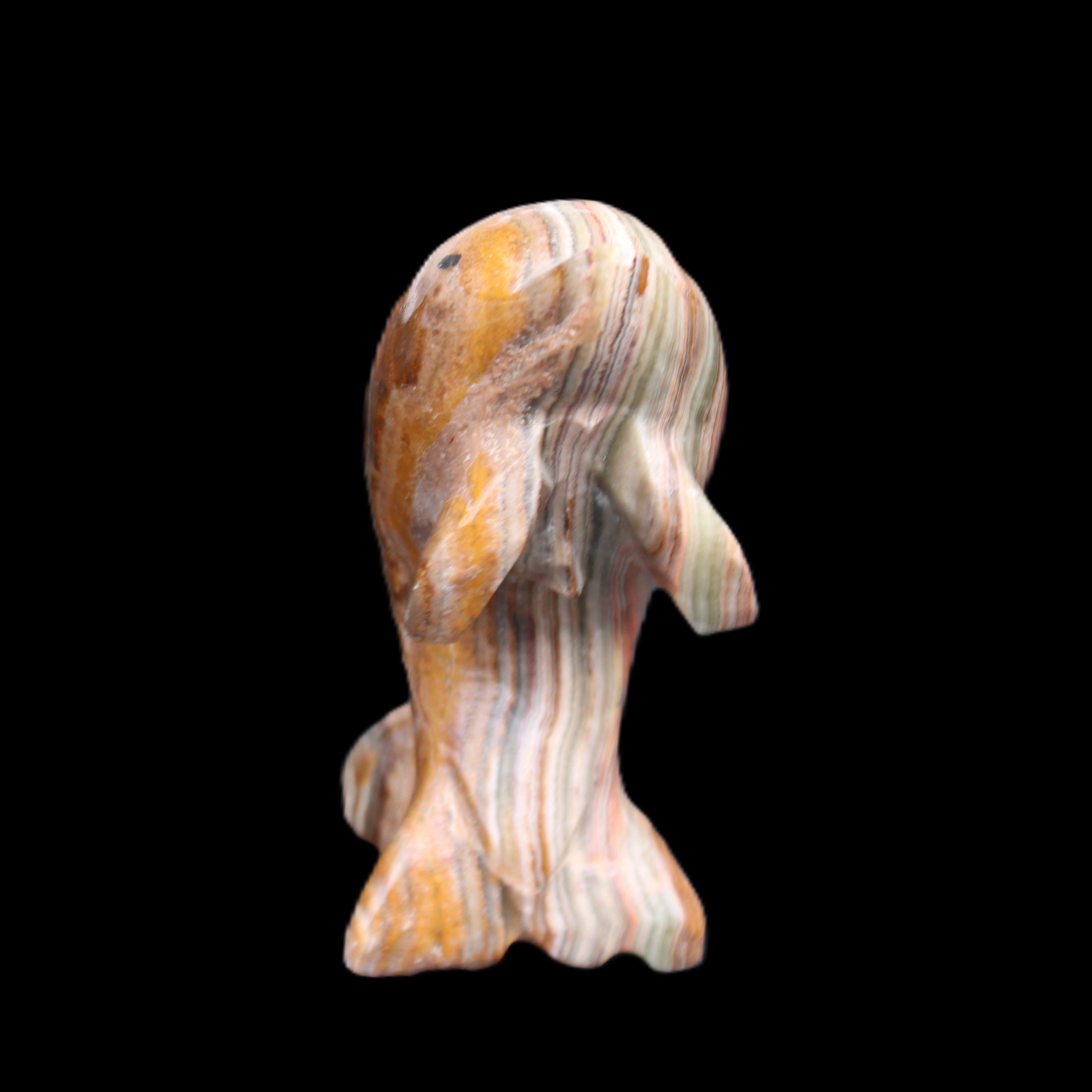 Afghan Jade Leaping Dolphin hand-carved 85*51*35mm 171g in sunlight - Rocks and Things Store