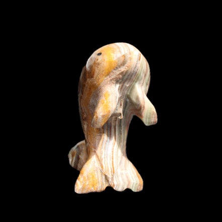 Afghan Jade Leaping Dolphin hand-carved 85*51*35mm 171g in sunlight - Rocks and Things Store