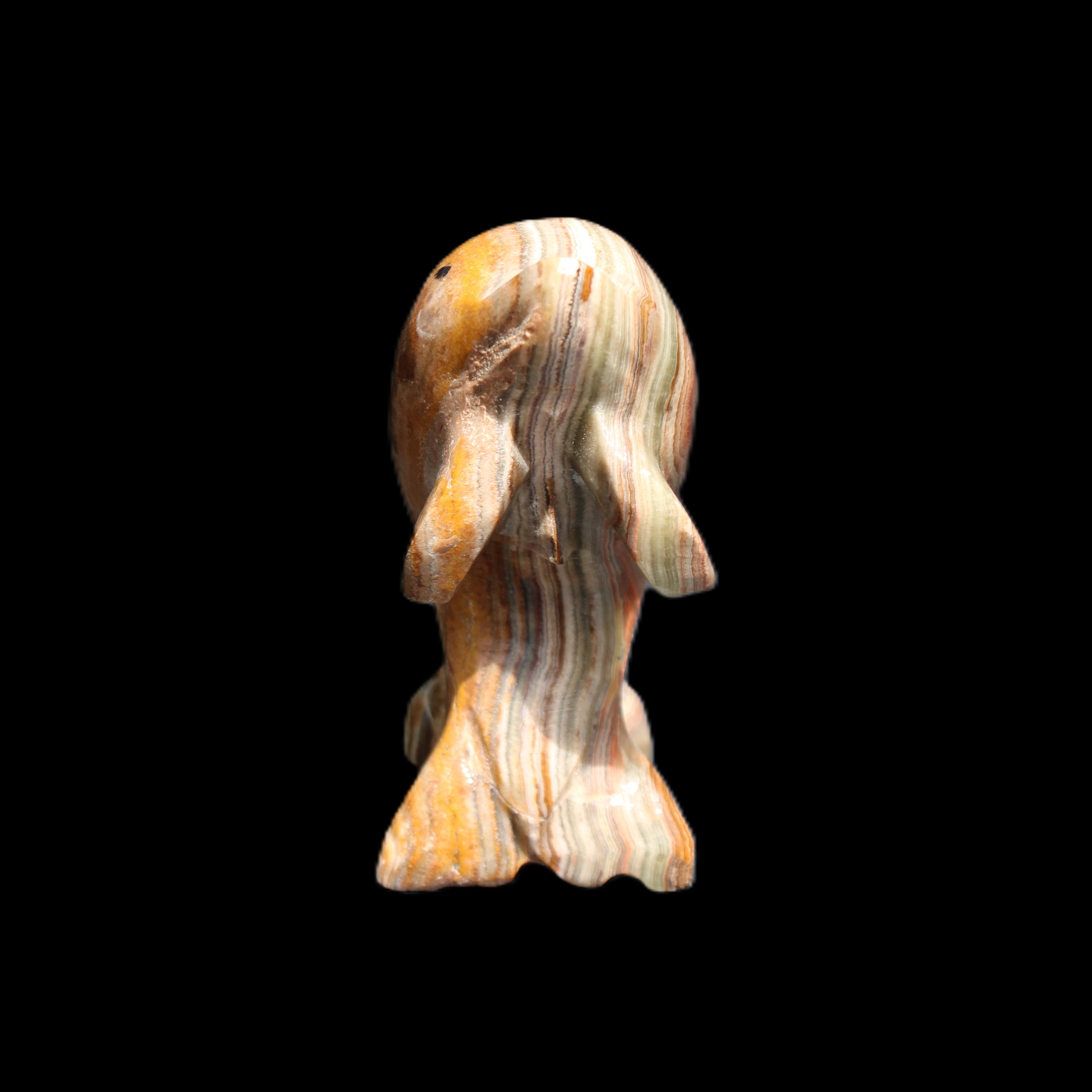 Afghan Jade Leaping Dolphin hand-carved 85*51*35mm 171g in sunlight - Rocks and Things Store