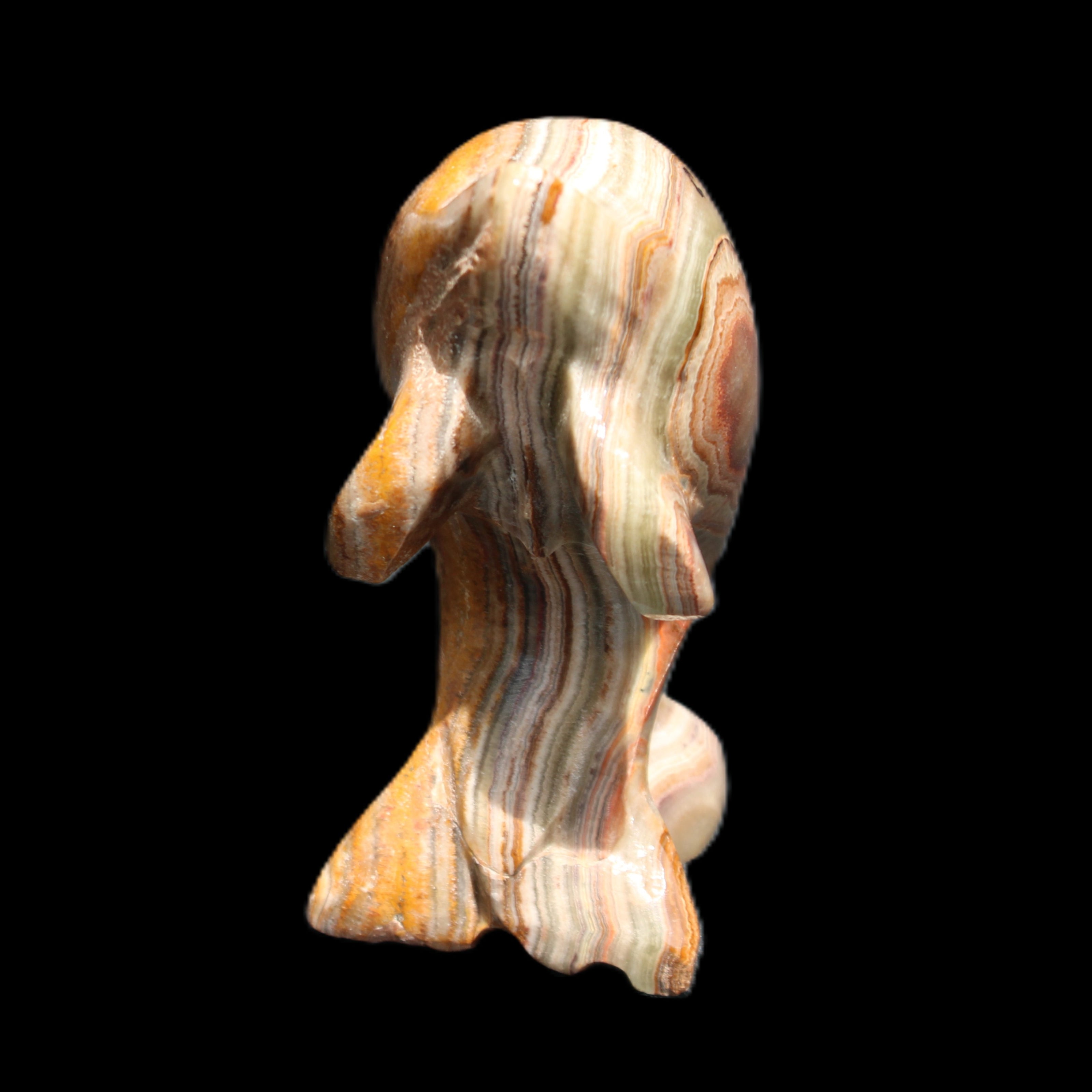 Afghan Jade Leaping Dolphin hand-carved 85*51*35mm 171g in sunlight - Rocks and Things Store