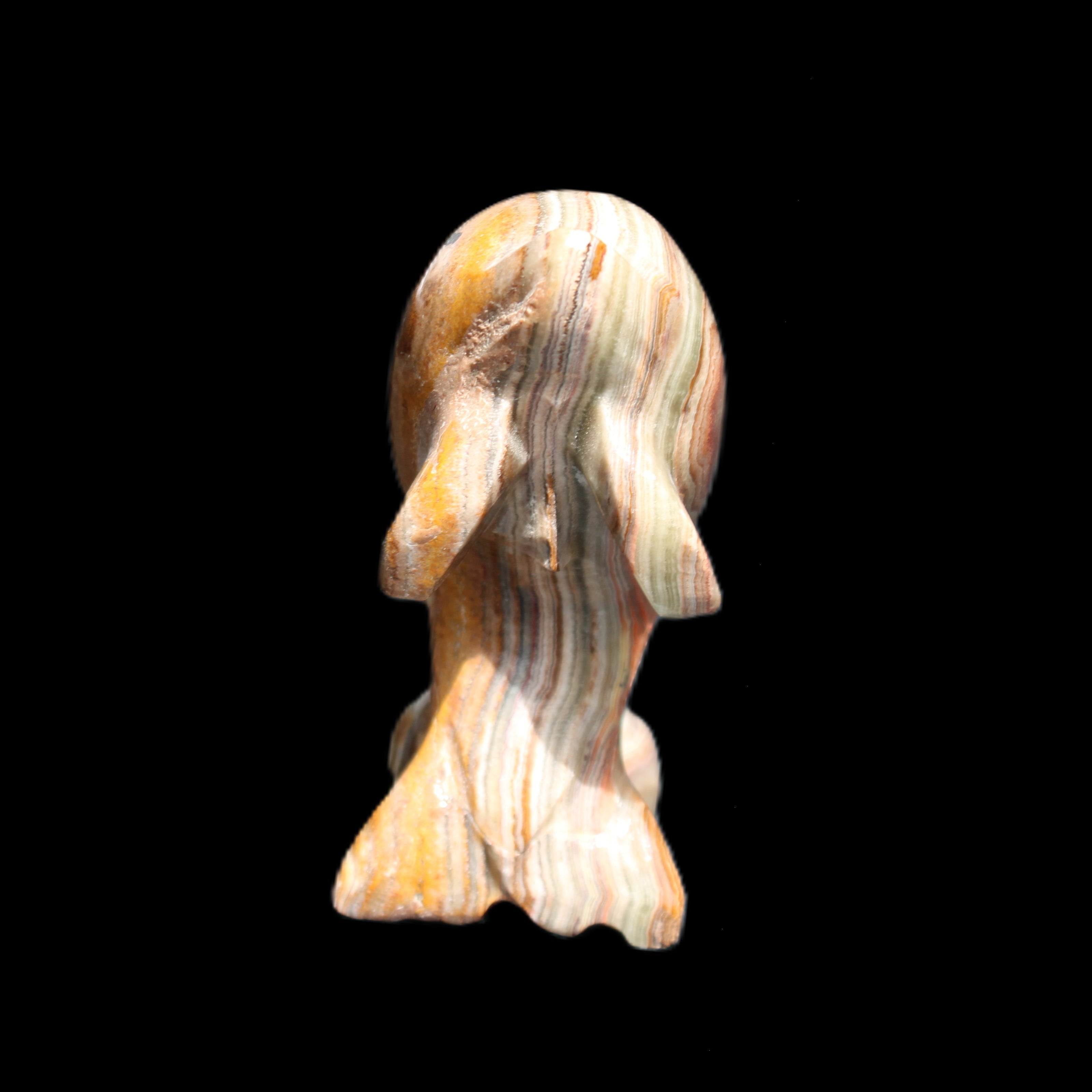 Afghan Jade Leaping Dolphin hand-carved 85*51*35mm 171g in sunlight - Rocks and Things Store