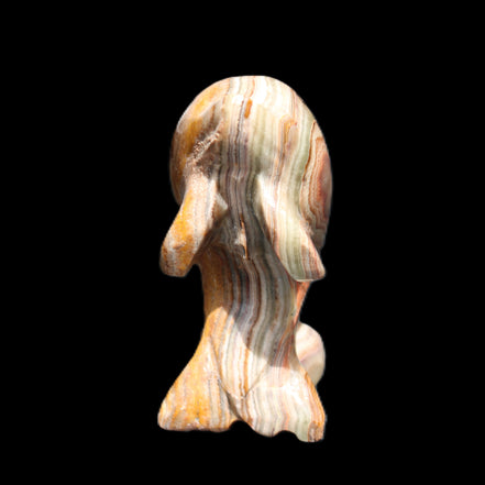 Afghan Jade Leaping Dolphin hand-carved 85*51*35mm 171g in sunlight - Rocks and Things Store