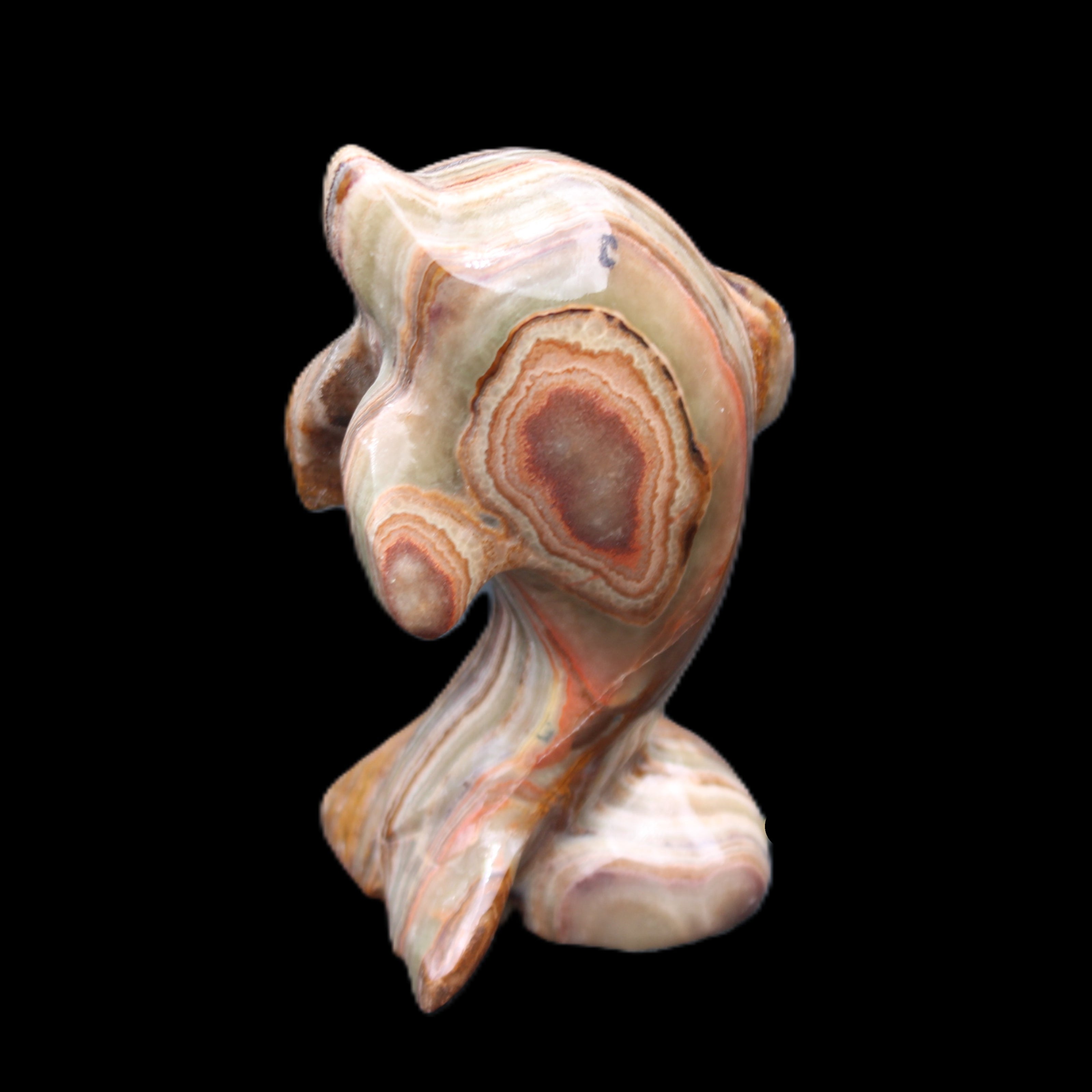 Afghan Jade Leaping Dolphin hand-carved 85*51*35mm 171g in sunlight - Rocks and Things Store