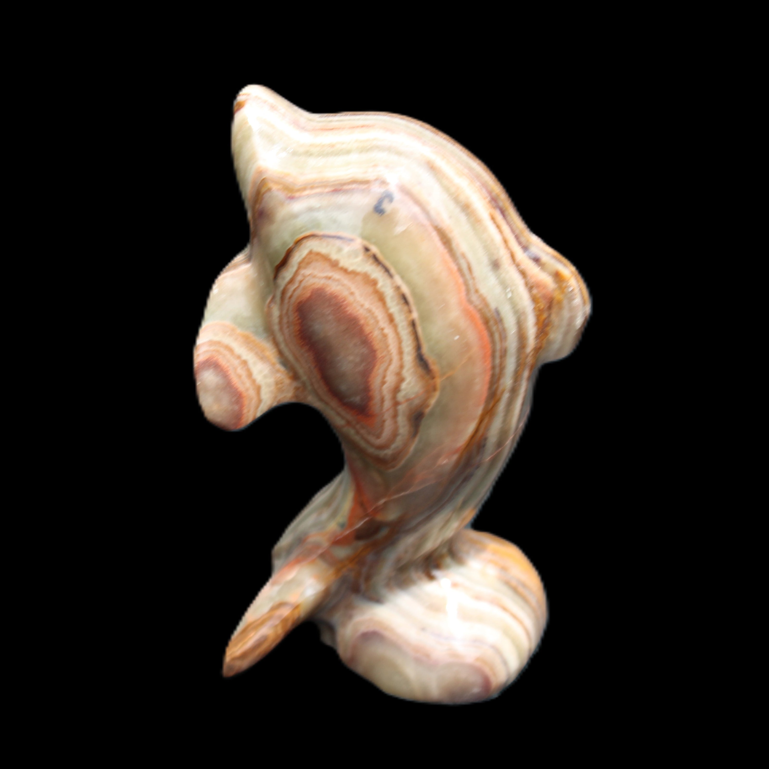 Afghan Jade Leaping Dolphin hand-carved 85*51*35mm 171g in sunlight - Rocks and Things Store