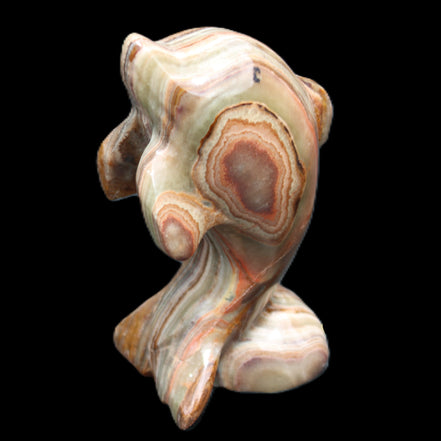 Afghan Jade Leaping Dolphin hand-carved 85*51*35mm 171g in sunlight - Rocks and Things Store